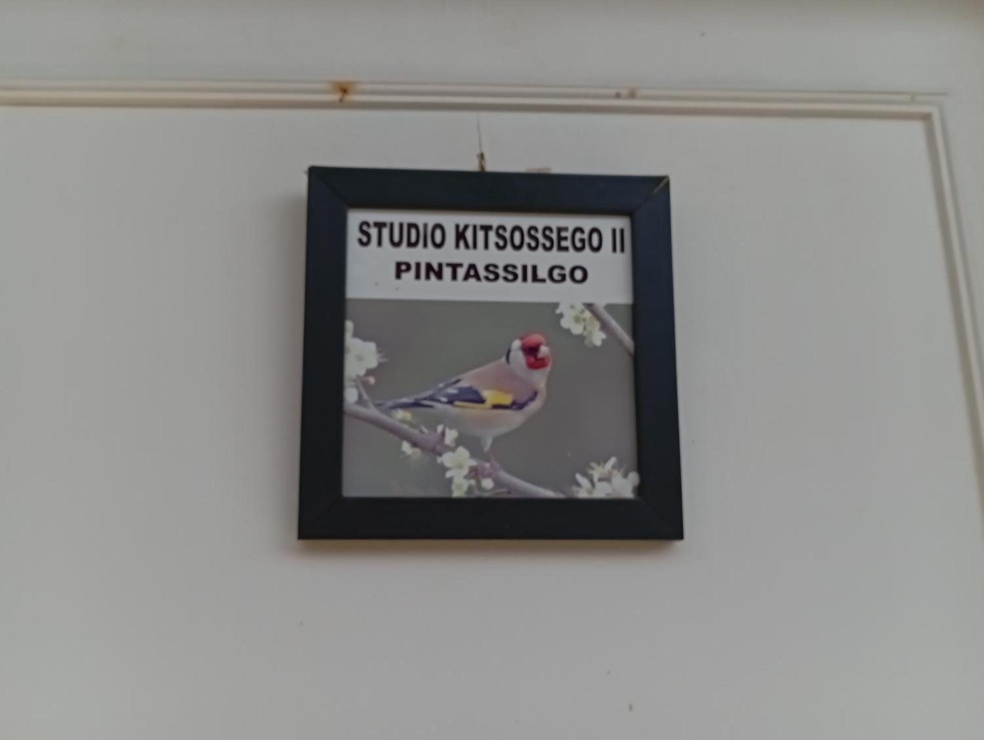 Studio Kitsossego Curitiba Eksteriør bilde